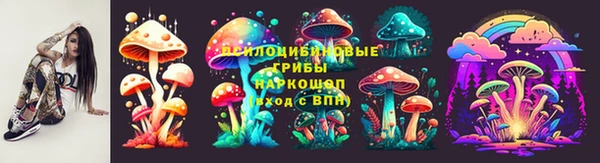 ECSTASY Алзамай