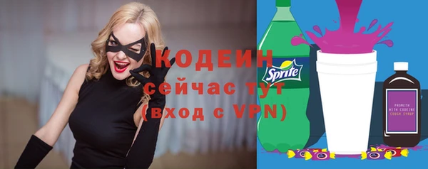 ECSTASY Алзамай