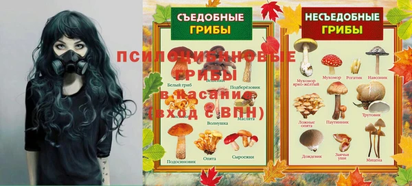 ECSTASY Алзамай