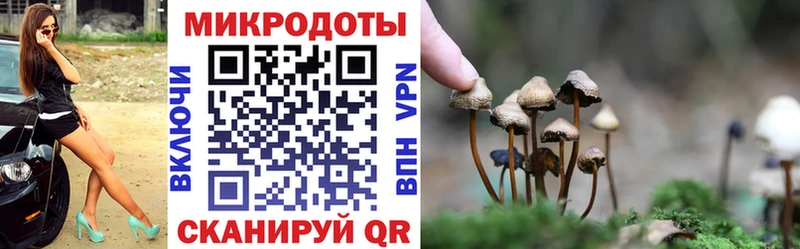 Галлюциногенные грибы Cubensis  Купить закладки  Сольвычегодск 